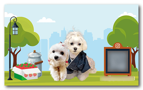 長方形ペット名刺の裏面画像