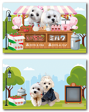 犬のペット名刺