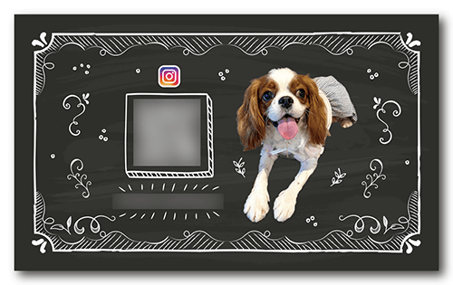 ペット名刺の裏面画像