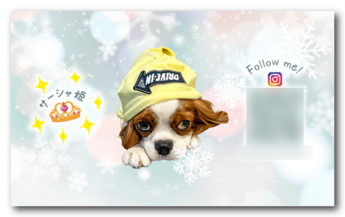 ペット名刺の裏面画像