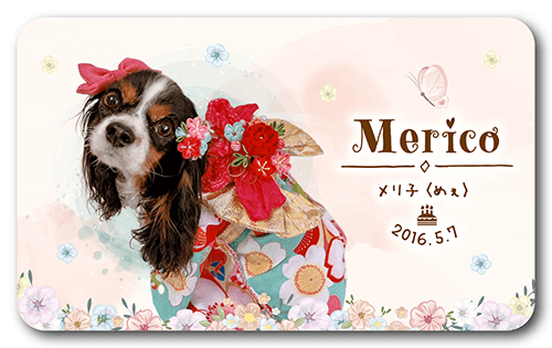 長方形ペット名刺の表面画像