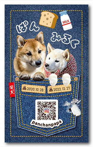 長方形ペット名刺画像