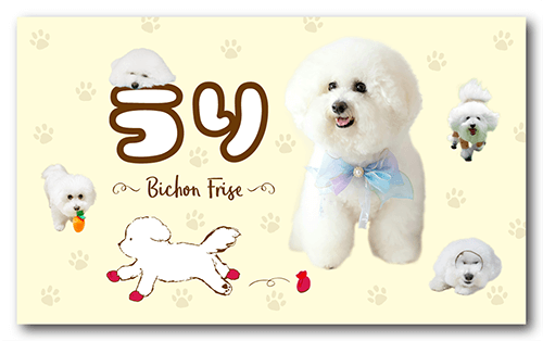 長方形ペット名刺の表面画像