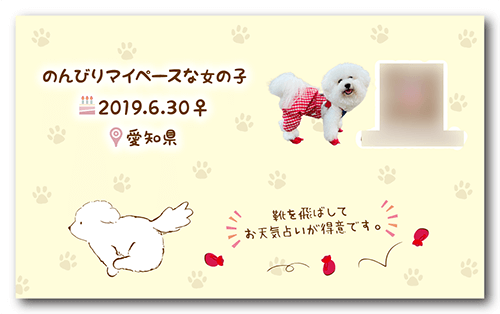 長方形ペット名刺の裏面画像