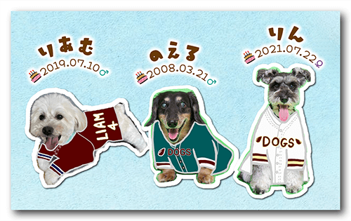 長方形ペット名刺の表面画像