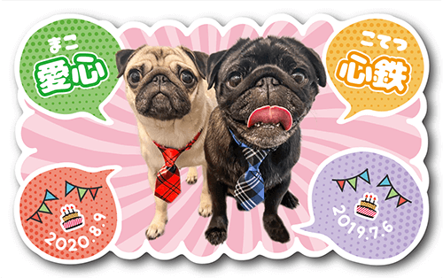 型抜きペット名刺の表面画像