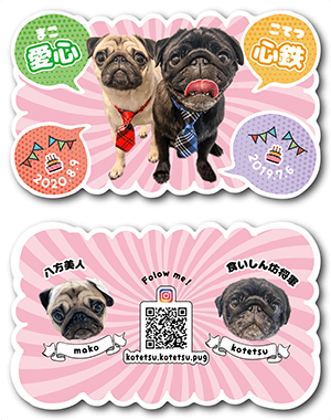 犬（多頭飼い）のペット名刺