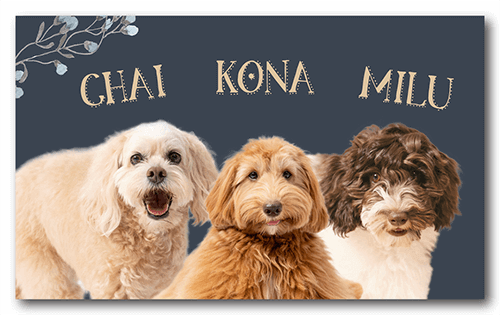 ペット名刺の表面画像