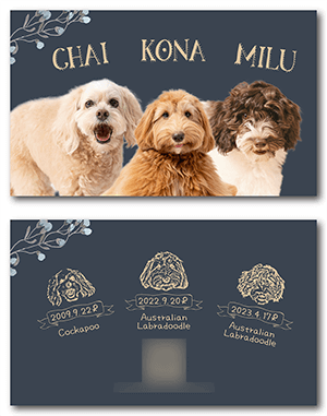 犬のペット名刺
