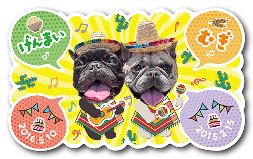 型抜きペット名刺の表面画像