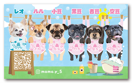長方形ペット名刺の表面画像