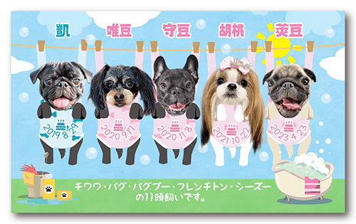 長方形ペット名刺の裏面画像