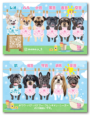 犬のペット名刺