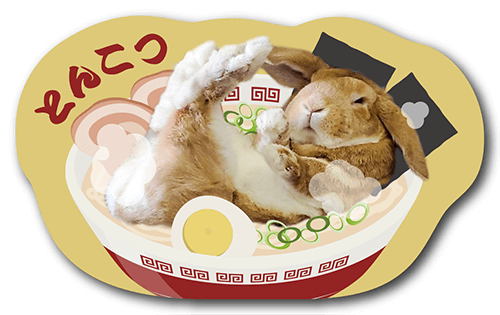 ペット名刺の表面画像