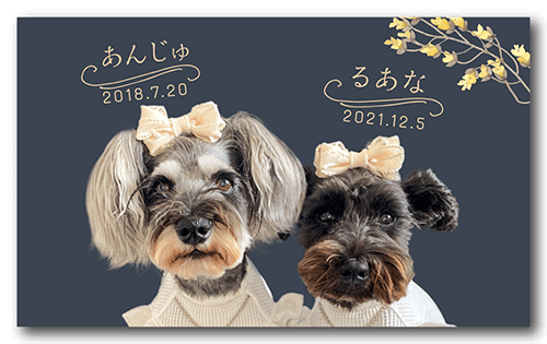 ペット名刺の表面画像