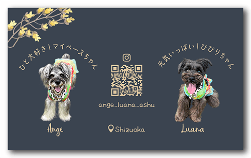 ペット名刺の裏面画像