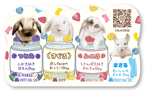 型抜きペット名刺画像