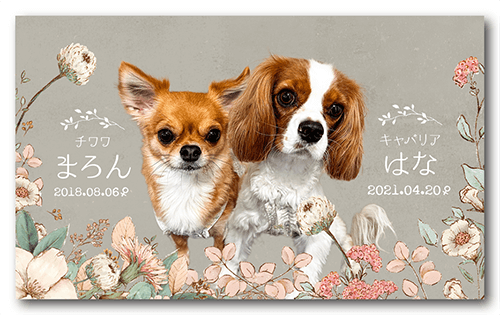 長方形ペット名刺の表面画像
