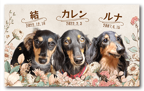 長方形ペット名刺の表面画像