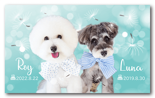 長方形ペット名刺の表面画像