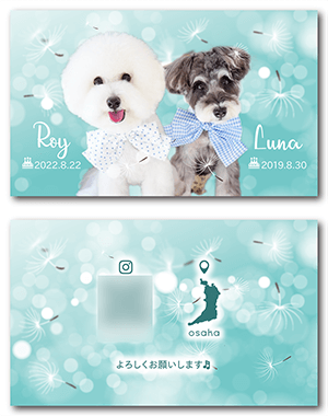 犬のペット名刺