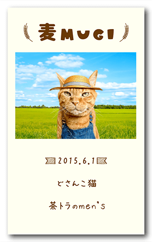 長方形ペット名刺の表面画像