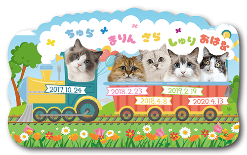 長方形ペット名刺表面画像