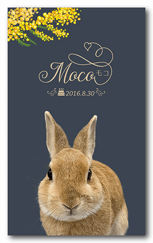 ペット名刺の表面画像