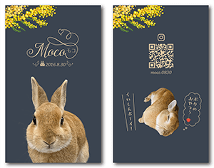 犬のペット名刺