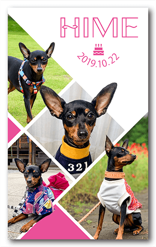 ペット名刺の表面画像