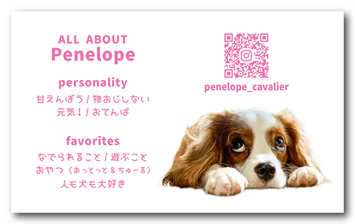 ペット名刺の裏面画像