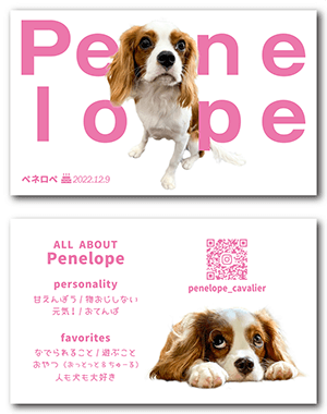 犬の両面ペット名刺