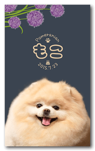 ペット名刺の表面画像