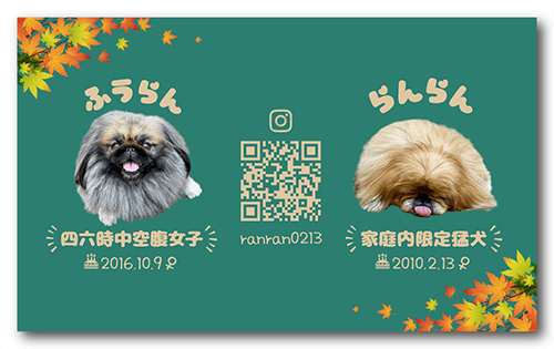 ペット名刺の裏面画像