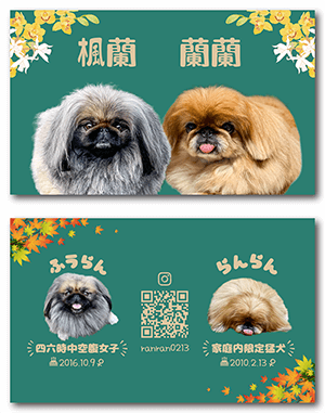 犬のペット名刺