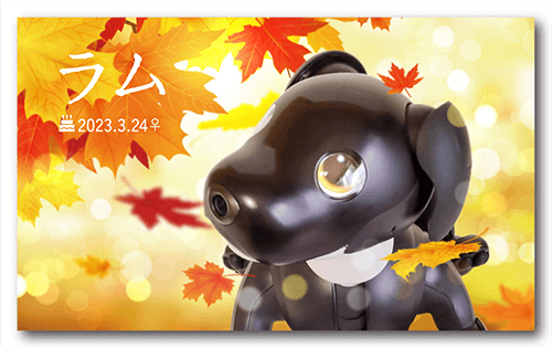 ペット名刺の表面画像