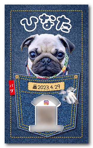 ペット名刺の表面画像