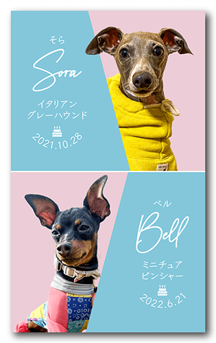 長方形ペット名刺の表面画像