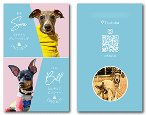 犬のペット名刺