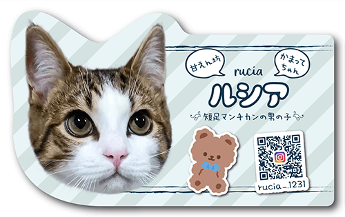 型抜きペット名刺画像