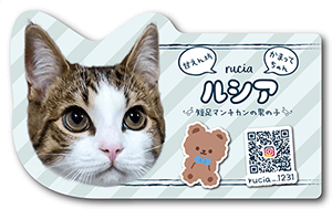 犬のペット名刺