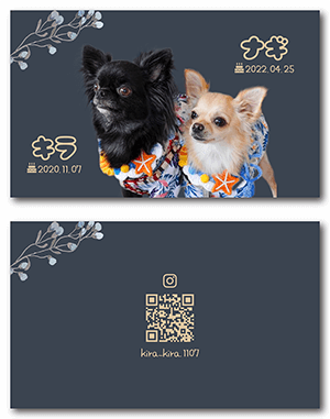 犬のペット名刺