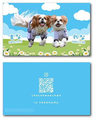 猫のペット名刺