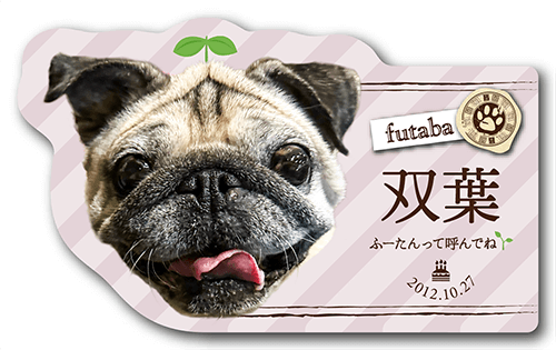 型抜きペット名刺の表面画像