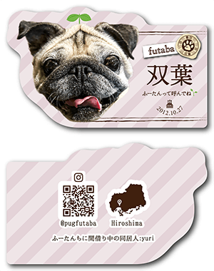 犬のペット名刺