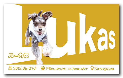 ペット名刺の表面画像