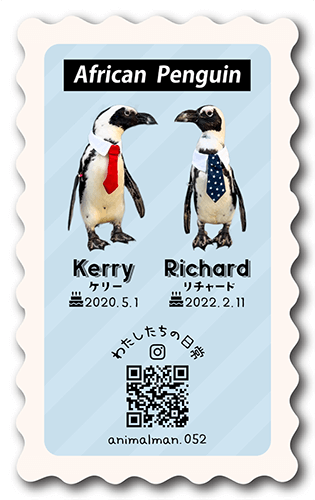 型抜きペット名刺の表面画像