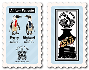 ペンギンのペット名刺