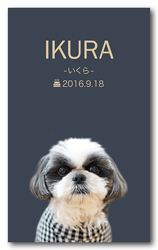 ペット名刺の表面画像