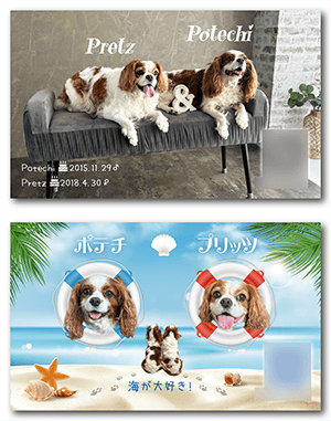 猫のペット名刺